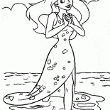 As pernas e sem cauda