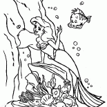 A Pequena Sereia e Linguado