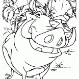 Timão e Pumba