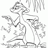 Filósofo-meerkat