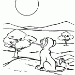 Simba e o sol