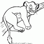Simba na árvore