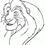 Simba cresceu