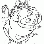 Pumba e meerkat hilariante