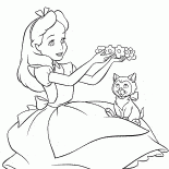 Alice joga com um gatinho