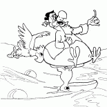 O ataque de papagaio