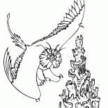 Siocho-branco