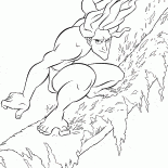 Tarzan na jornada