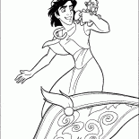 Moscas Aladdin