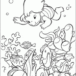 Lilo com peixes