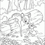 O primeiro obstáculo