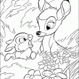 Hare e Bambi