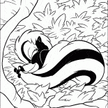Skunk em férias
