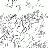 Lebres estão rufando