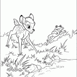 Bambi eo Sapo