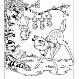 Gambás e Bambi