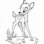 Bambi no prado