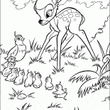 Bambi e aves