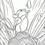 Floresta mouse