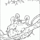 Ninho com pintainhos