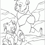 Koda e Kenai