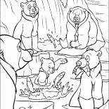 Anciãos Urso