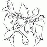 Mooses se divertir