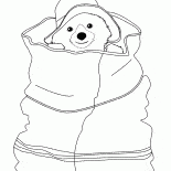 Urso está escondendo