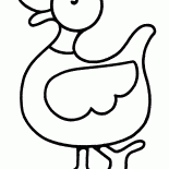 Boa pato