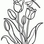 Tulipas