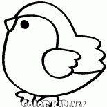 Titmouse pássaro