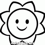 Flor Solar