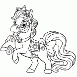 Pony Estrela