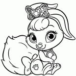 Coelho Berry