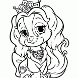 Filhote de cachorro pequeno