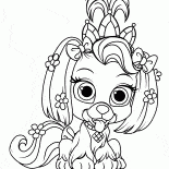 Filhote de cachorro camomila