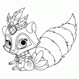 Raccoon Cornflower