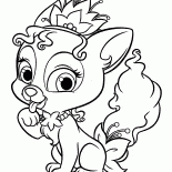 Lily Kitten