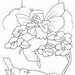 Menina do duende e um pássaro