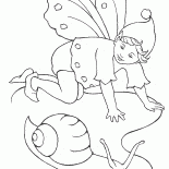 Caracol de fadas