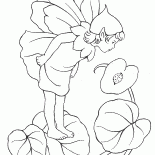 Pouco Elf