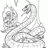Caça cobra gigante