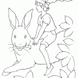 Elf selou a lebre