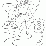 Fairy pequeno descansa