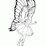 Borboleta-Fairy surpreendeu