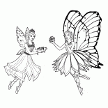Mariposa e Catania
