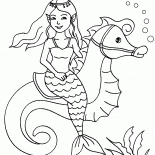 Sereia e cavalo marinho