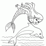 A sereia eo golfinho