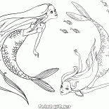 Sereias natação