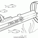 Mar e oceano sonar